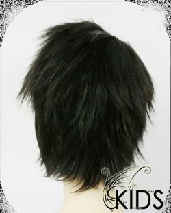 画像3: 格安 DEATH　NOTE デスノート 竜崎風 コスプレ ウィッグ