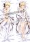 画像1: Fate/Grand Order セイバー アルトリア・ペンドラゴン風 02 リリィ ●等身大 抱き枕カバー (1)