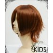 画像2: 格安 DOLLS ドールズ 特刑 御子柴笑太風 コスプレウィッグ (2)