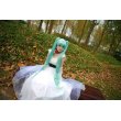 画像3: 格安 VOCALOID ボーカロイド 初音ミク風 02 コスプレ ウィッグ  (3)