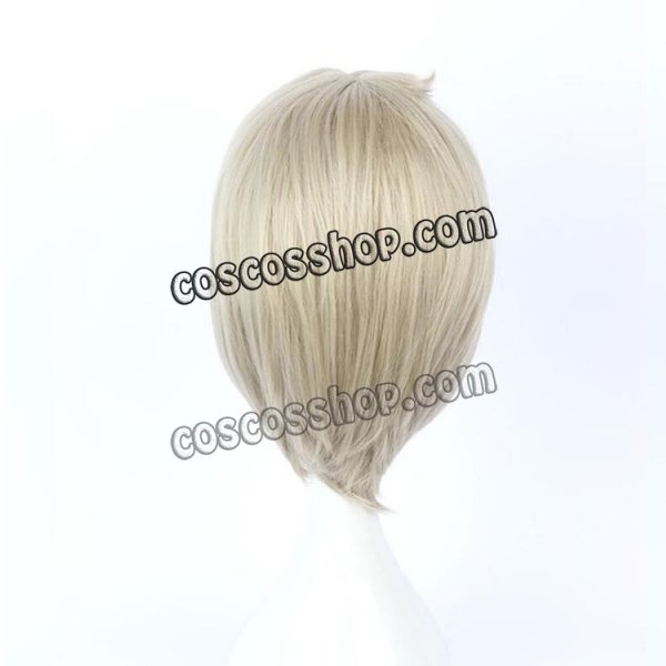 画像3: 陰陽師 おんみょうじ 大天狗風 おおてんぐ 02 コスプレウィッグ (3)