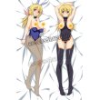 画像1: Infinite Stratos シャルロット·デュノア風 02 ●等身大 抱き枕カバー (1)