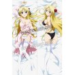画像1: カンピオーネ！ エリカ·ブランデッリ風 ●等身大 抱き枕カバー (1)