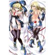 画像1: BLAZBLUE ブレイブルー ノエル＝ヴァーミリオン風 ●等身大 抱き枕カバー (1)