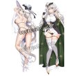 画像1: グランブルーファンタジー GRANBLUE FANTASY アクイラ風 03 ●等身大 抱き枕カバー (1)